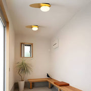 Modern Oval LED Flush Mount Ceiling Light with White Glass Shade