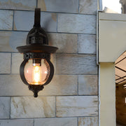 Seeded Glass Globe Outdoor Wall Lantern - Curved Arm Black