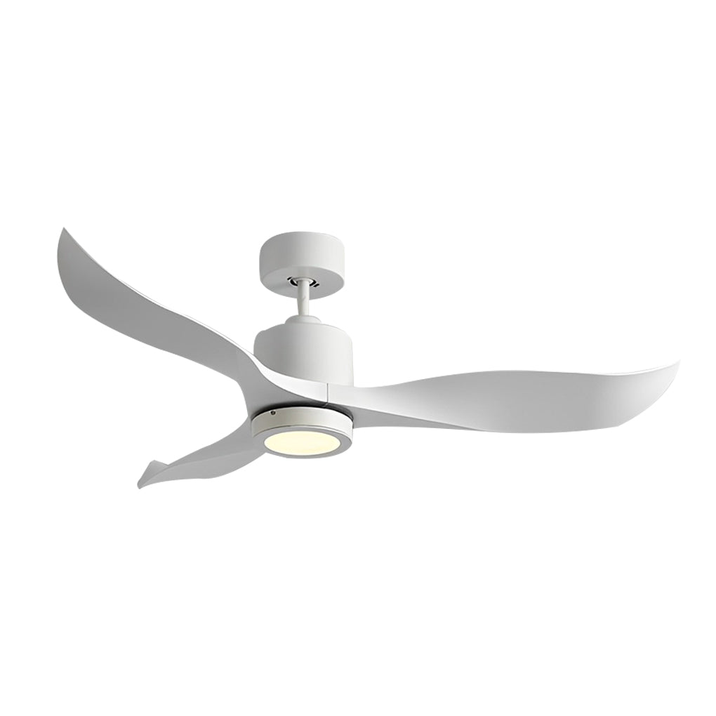 Modern 3-Blade Ceiling Fan with LED Light & Remote Control
