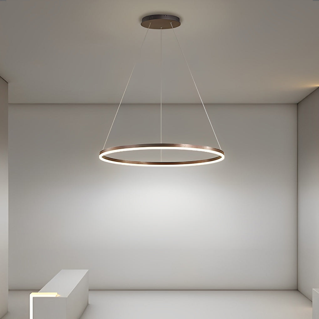 16" Modern Circle Pendant Light - Acrylic & Aluminum LED Fixture