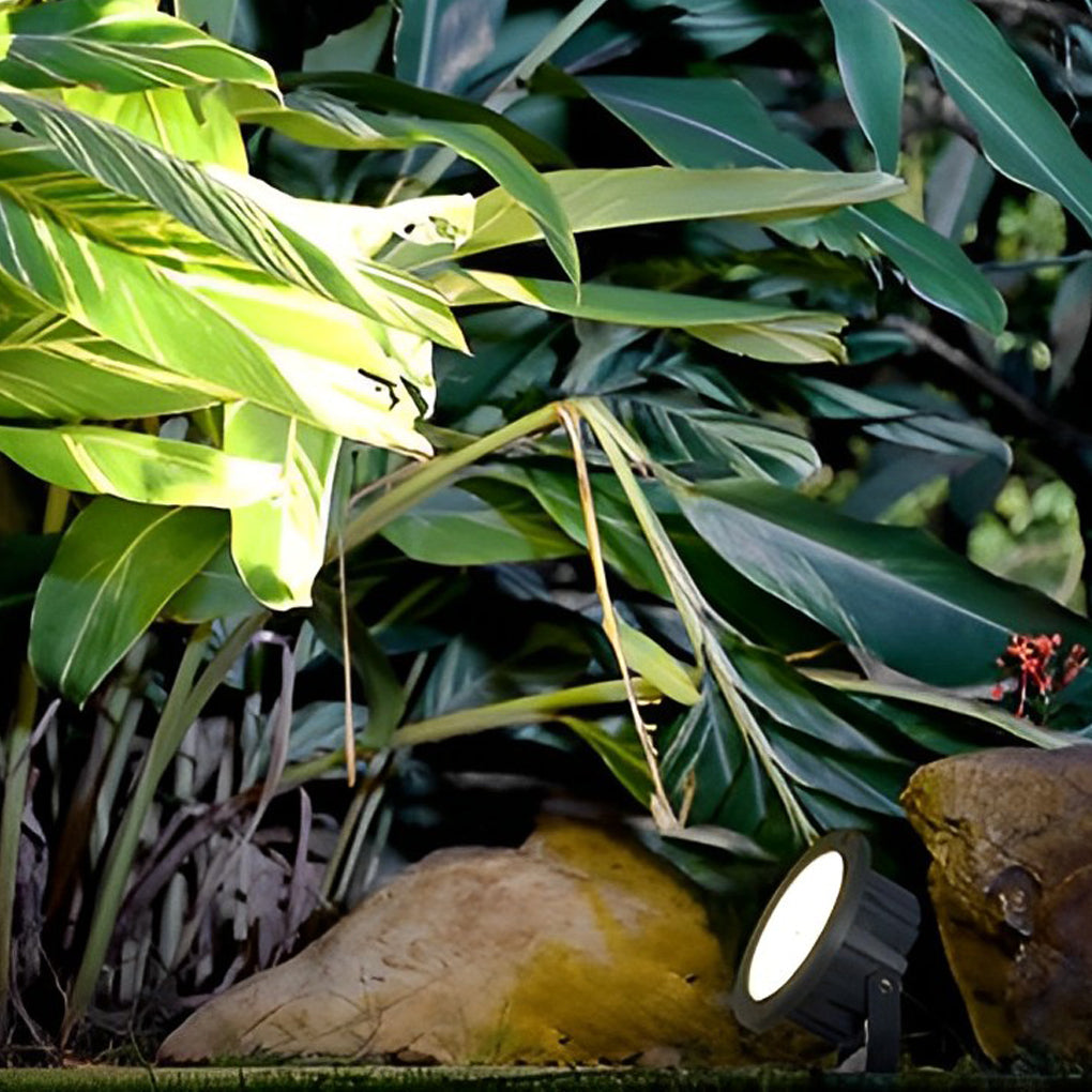 Modern LED Outdoor Spotlight - Waterproof Tree & Landscape Lighting