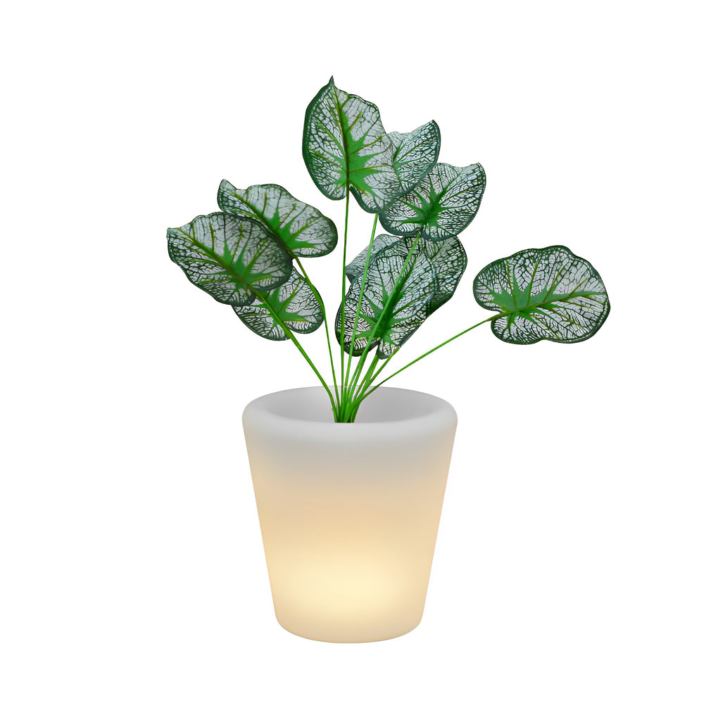 LED Illuminated Planter with RGB Lights & Remote Control