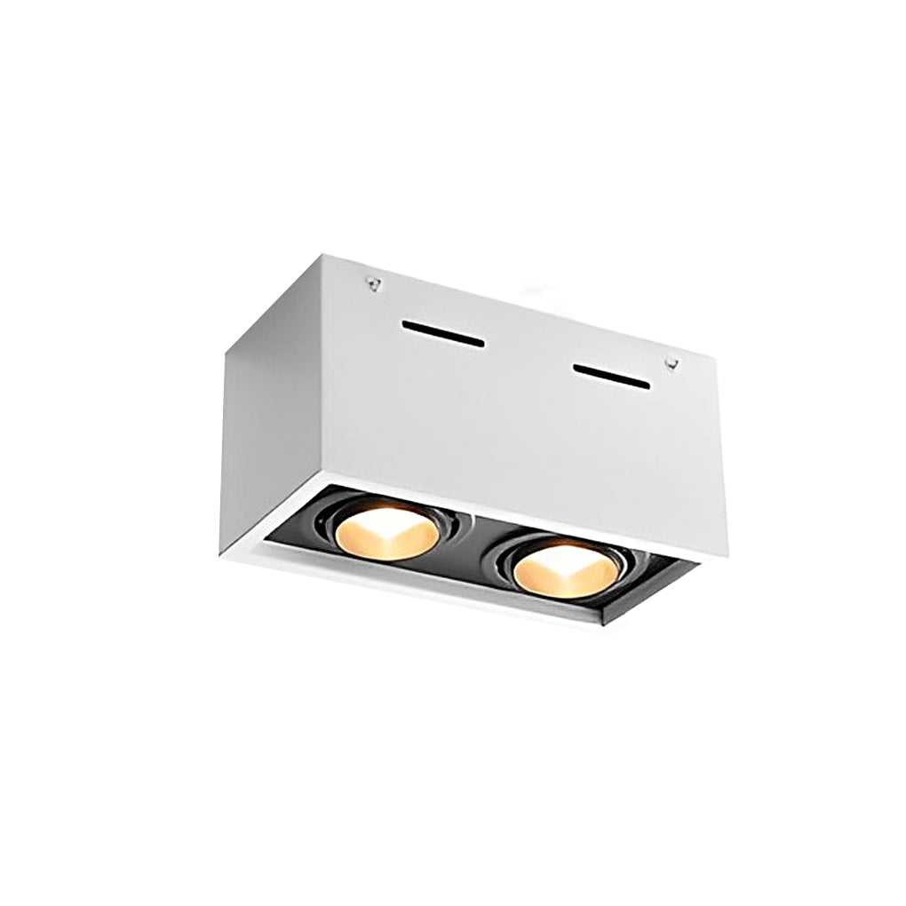 Adjustable LED Spotlight – Modern Aluminum Surface Mount, 2 Lights