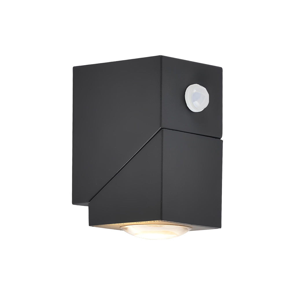 Modern Motion Sensor Black Outdoor Wall Lamp with Adjustable Light