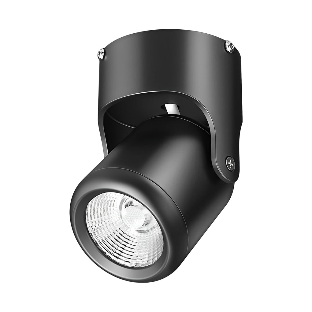 Adjustable Aluminum COB Spotlight Modern Ceiling Mounted Downlight