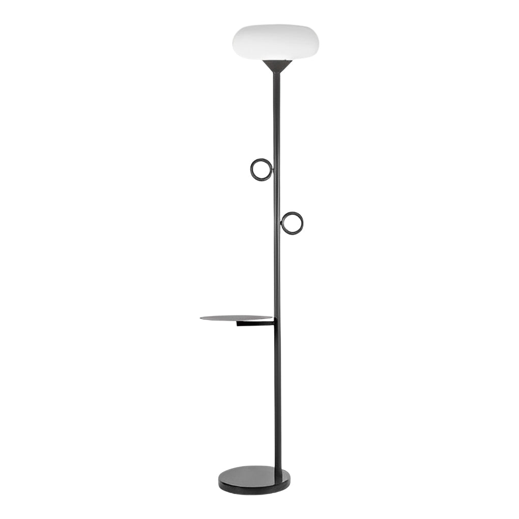 Modern LED Outdoor Floor Lamp with Remote Control - Black Steel