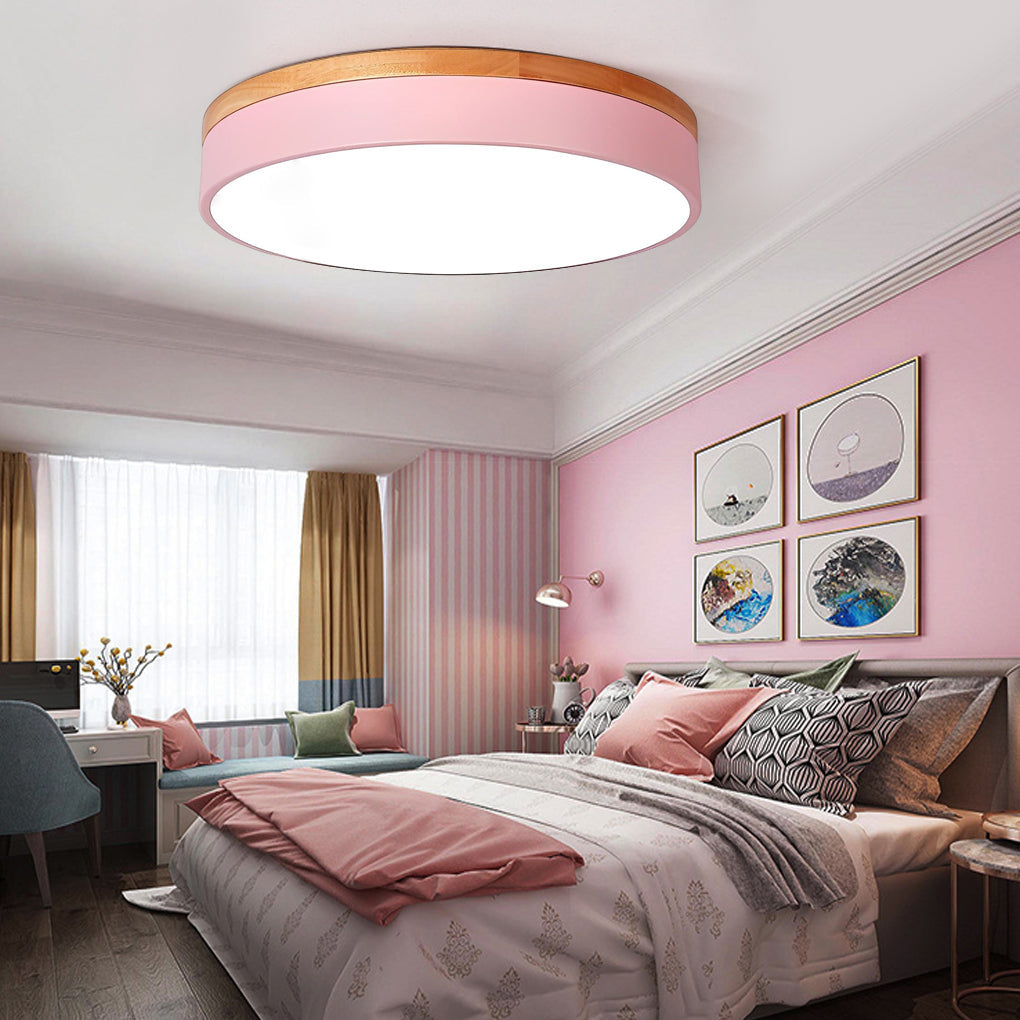 12" Modern LED Flush Mount Ceiling Light - Metal & PVC
