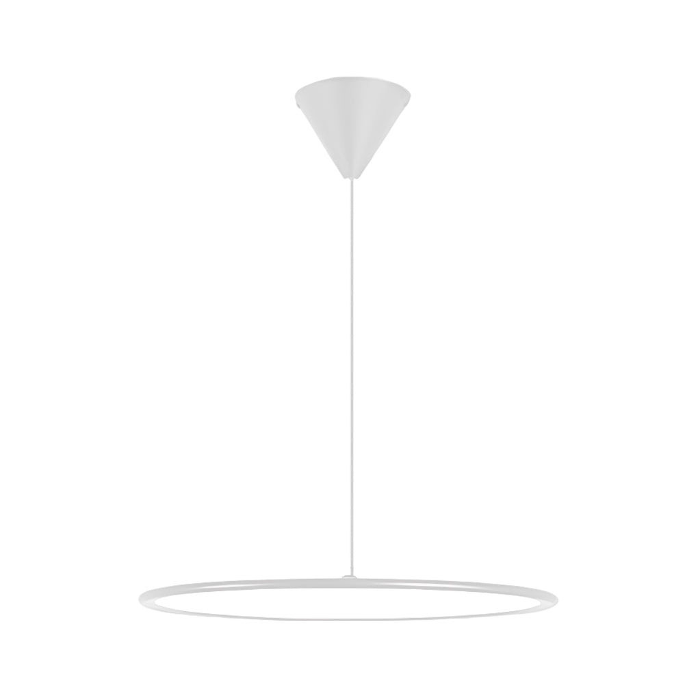 Modern Circle Linear Metal Pendant Light with Integrated LED
