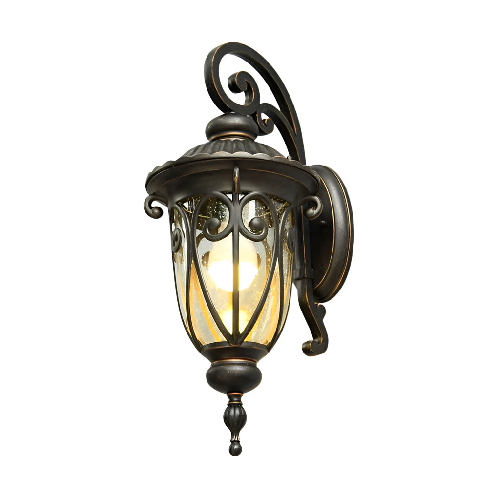Antique Black Seeded Glass Outdoor Wall Light