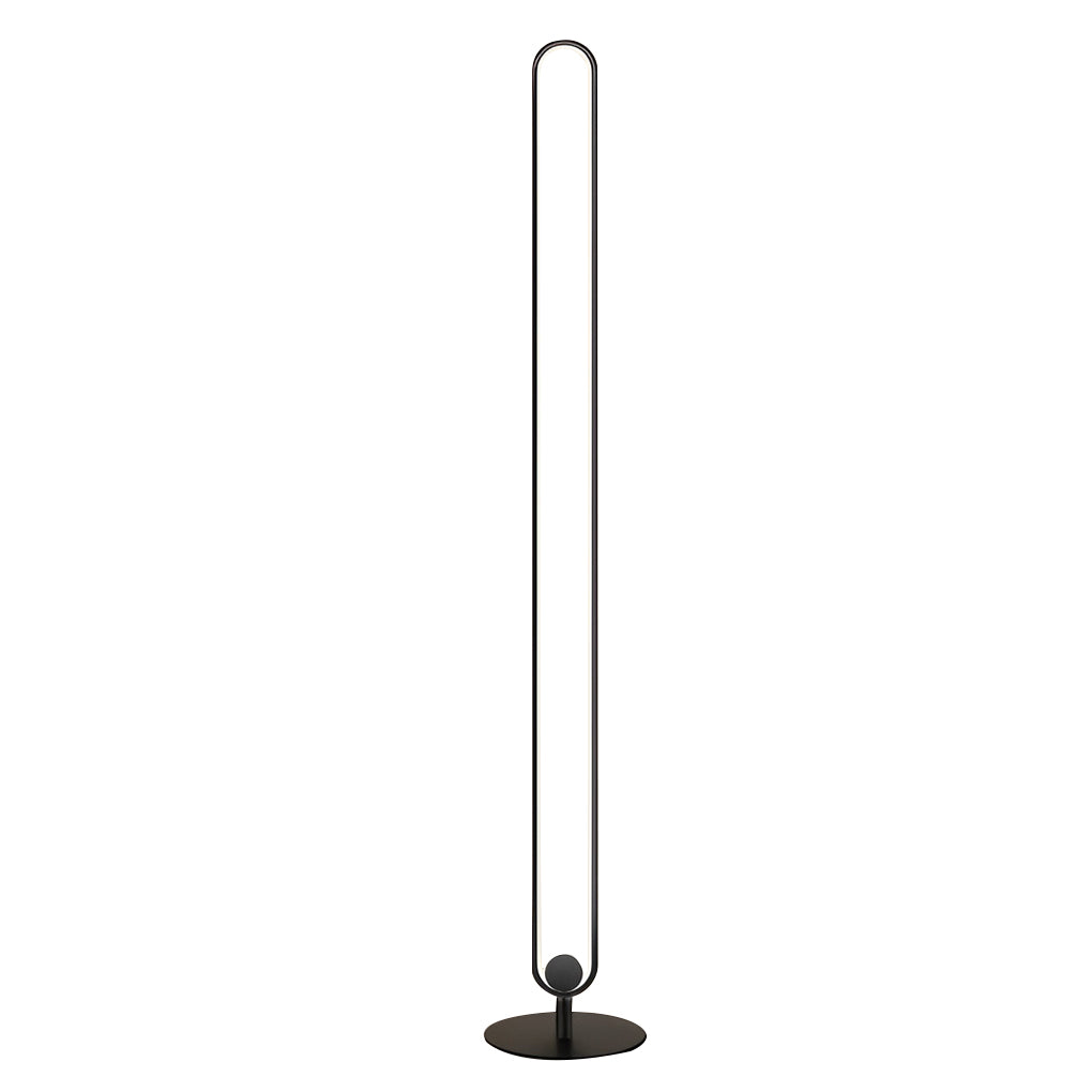 Modern Oval LED Floor Lamp with Metal Frame and Acrylic Shade