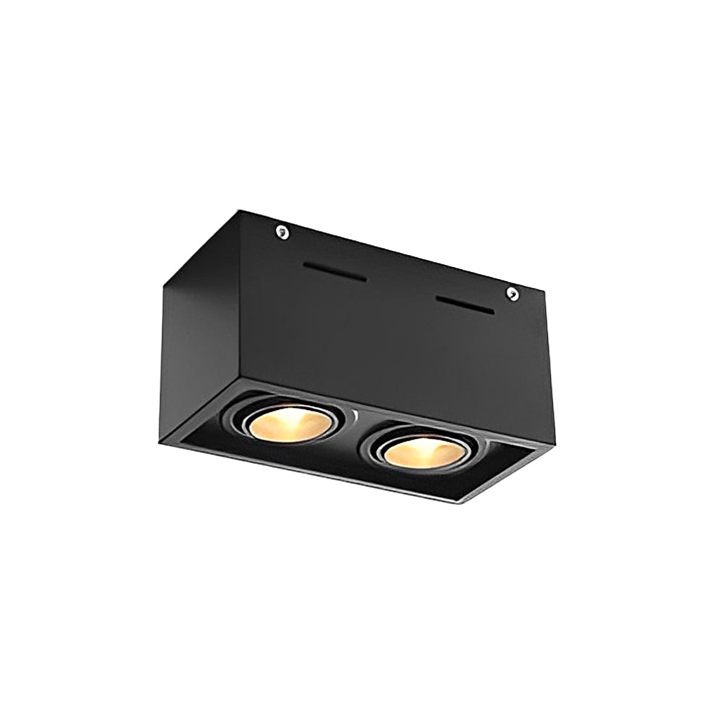 Adjustable LED Spotlight – Modern Aluminum Surface Mount, 2 Lights