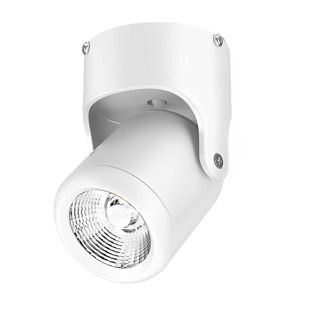 Adjustable Aluminum COB Spotlight Modern Ceiling Mounted Downlight
