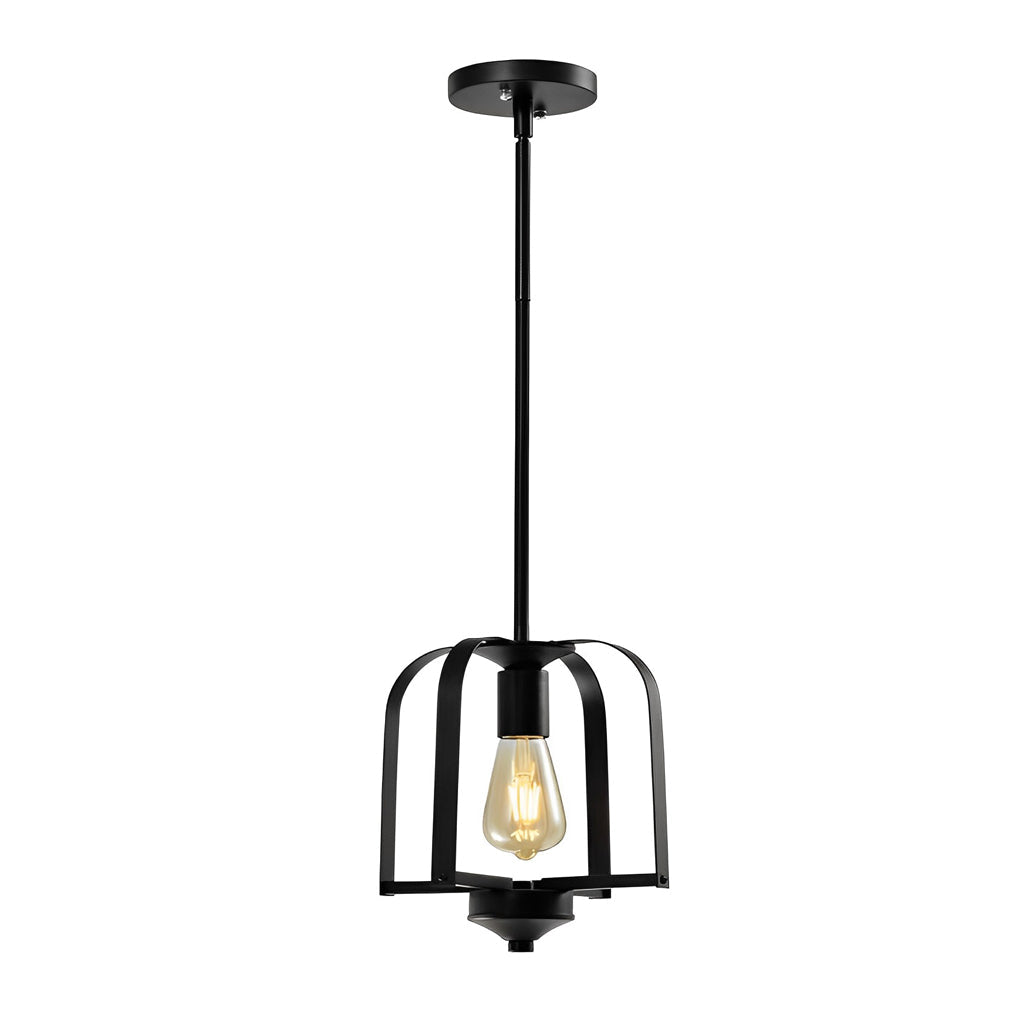 Industrial Iron Cage Pendant & Ceiling Light Fixture - Black
