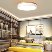 12" Modern LED Flush Mount Ceiling Light - Metal & PVC
