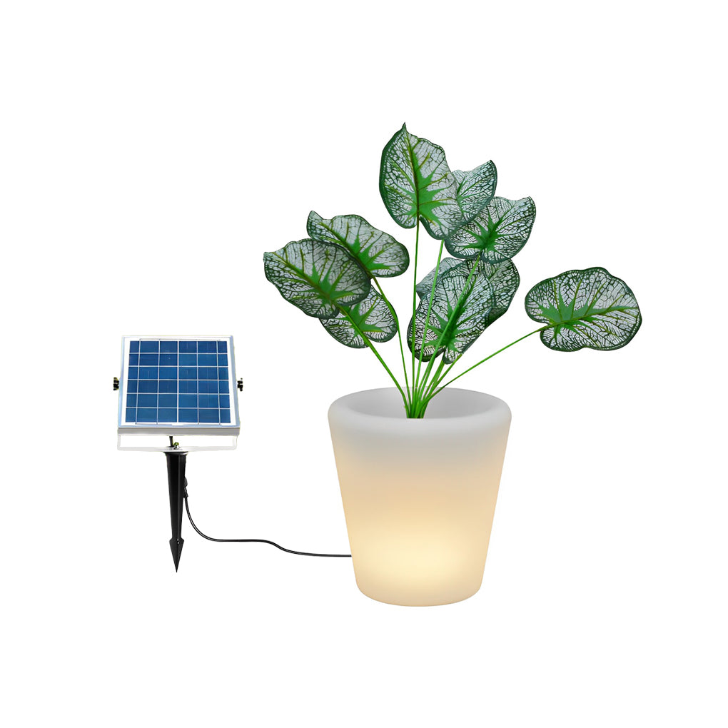 LED Illuminated Planter with RGB Lights & Remote Control