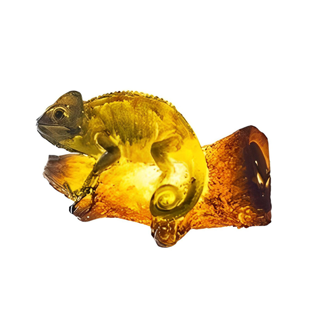 LED Animal Sculpture Outdoor Light – Resin Garden Decor