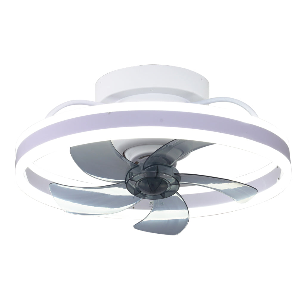 Modern Ceiling Fan Light with Stepless Dimming & Remote Control