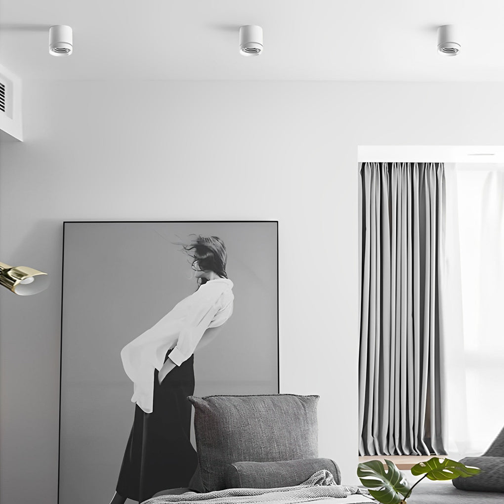 Modern Cylindrical LED Flush Mount Ceiling Light - Aluminum & Acrylic