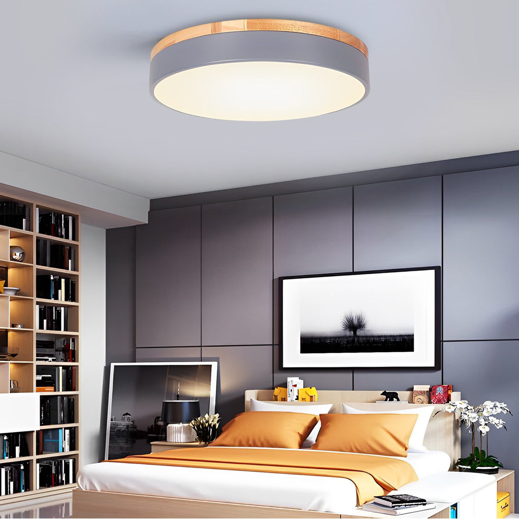 12" Modern LED Flush Mount Ceiling Light - Metal & PVC