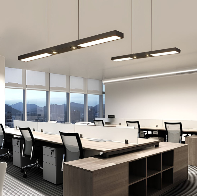 Linear LED Black Ceiling Light with Adjustable Spotlights