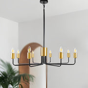 8-Light Farmhouse Iron Chandelier with Adjustable Height