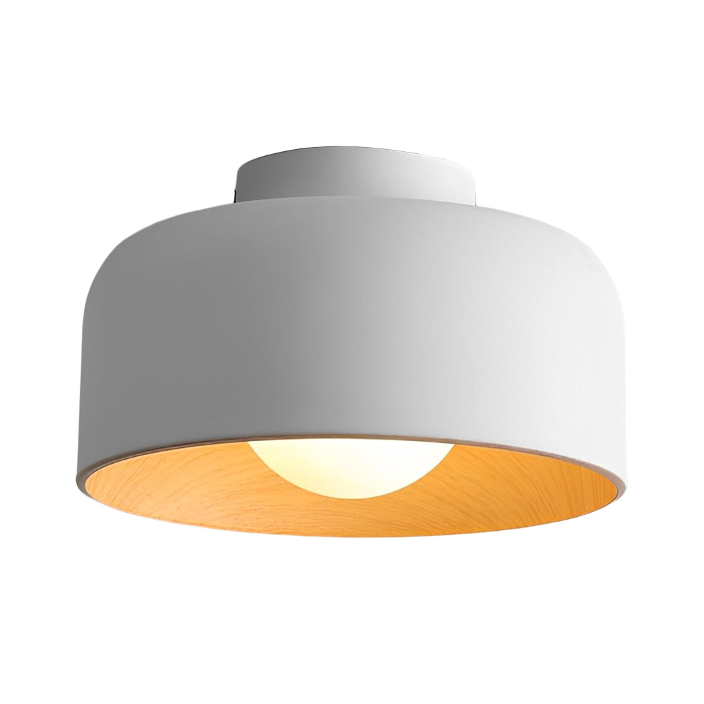 Modern Bowl LED Ceiling Light | Glass & Iron Flush Mount