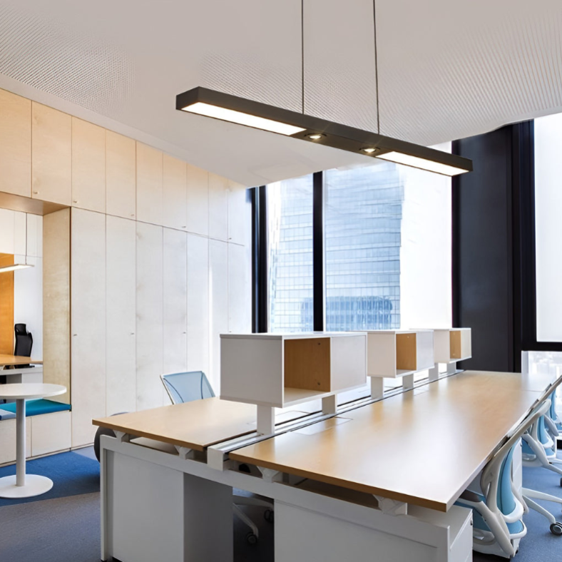 Linear LED Black Ceiling Light with Adjustable Spotlights