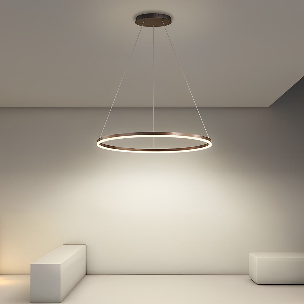 16" Modern Circle Pendant Light - Acrylic & Aluminum LED Fixture