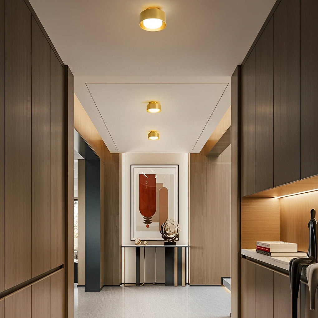 Modern Round Aluminum LED Flush Mount Ceiling Light