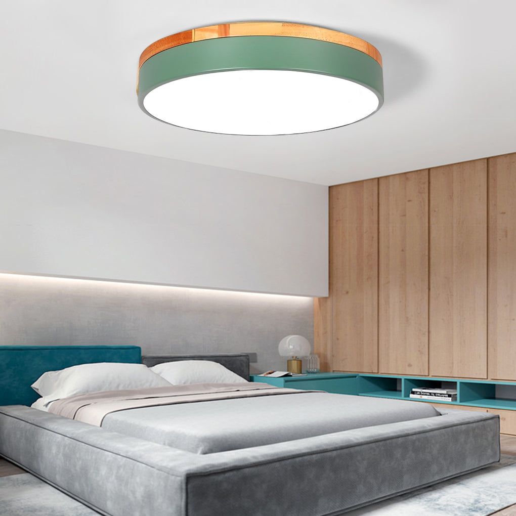 12" Modern LED Flush Mount Ceiling Light - Metal & PVC