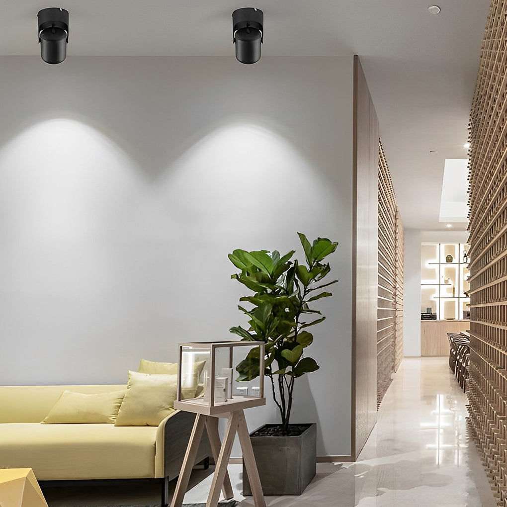 Adjustable Aluminum COB Spotlight Modern Ceiling Mounted Downlight