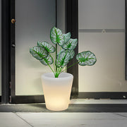LED Illuminated Planter with RGB Lights & Remote Control
