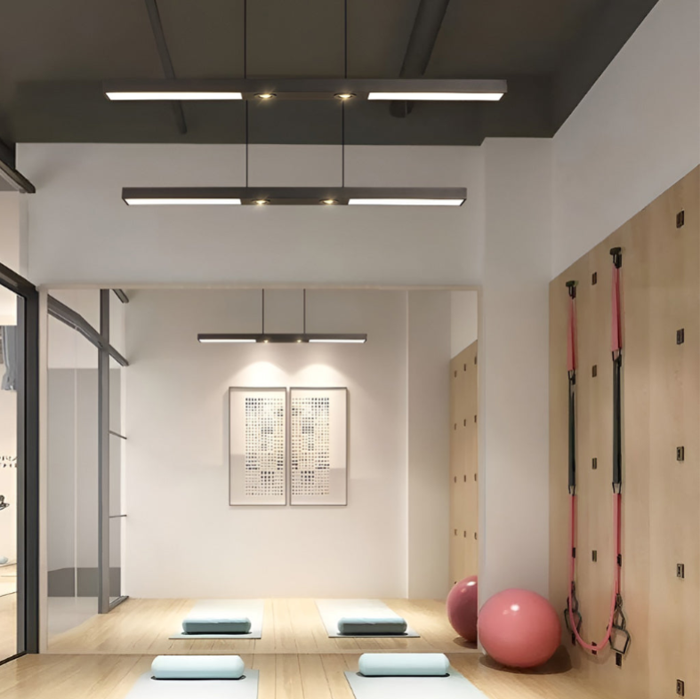 Linear LED Black Ceiling Light with Adjustable Spotlights