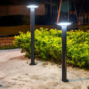 Modern Solar LED Garden Light with Auto Light Control