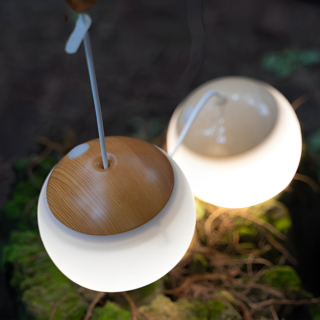 Dimmable LED Portable Camping Lantern with USB Rechargeable Battery