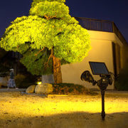 Solar Motion Sensor LED Lawn Light with Adjustable Modes