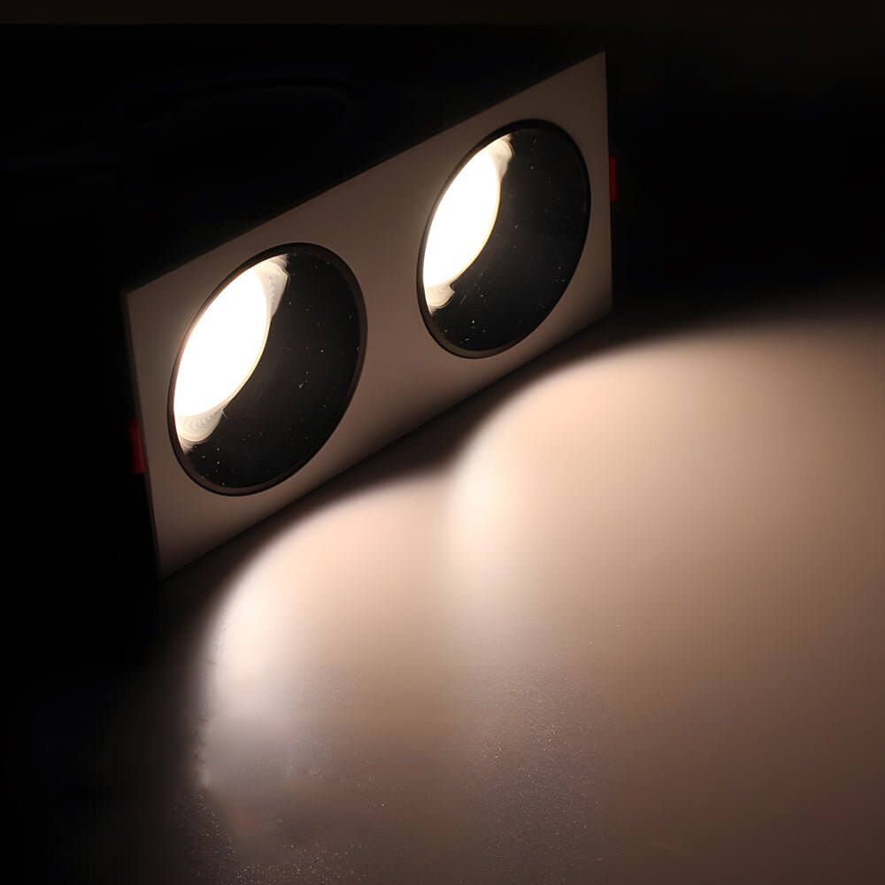 Dual-Head LED Recessed Downlight Modern Aluminum Ceiling Light