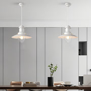 Retro Dome Metal Pendant Light Industrial Chandelier
