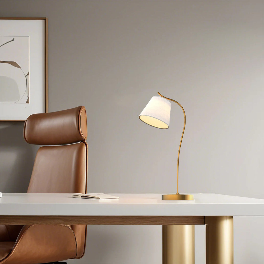 Modern Gooseneck Desk Lamp with Cone Fabric Shade