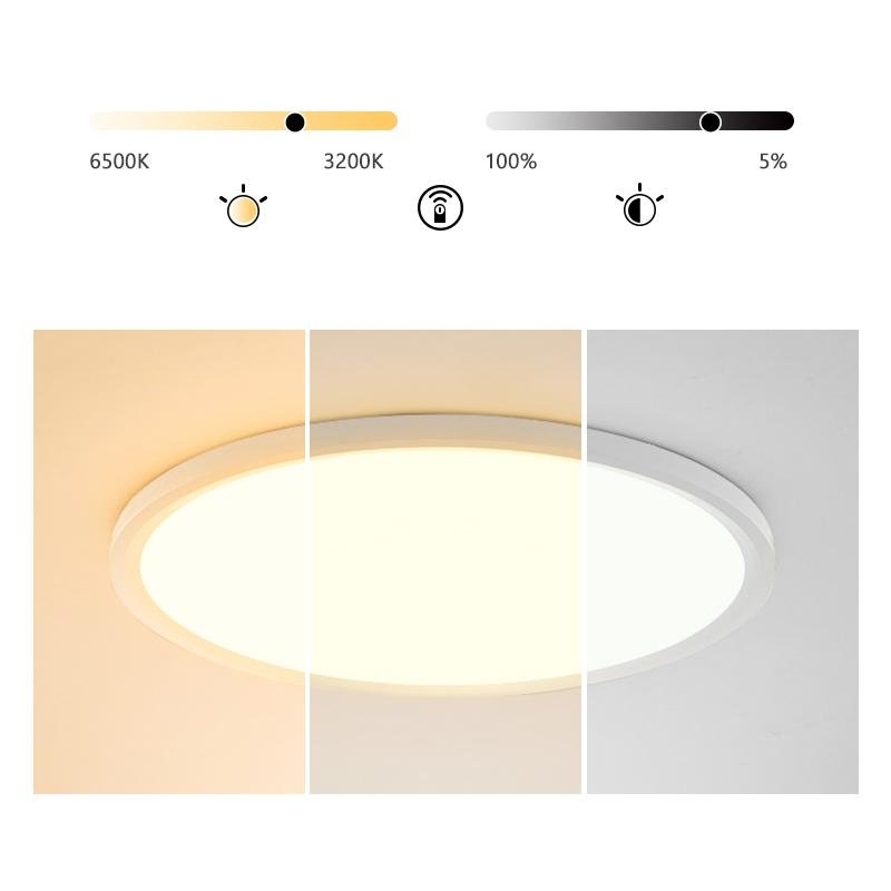 Modern Black Circle LED Flush Mount Ceiling Light with Dimming