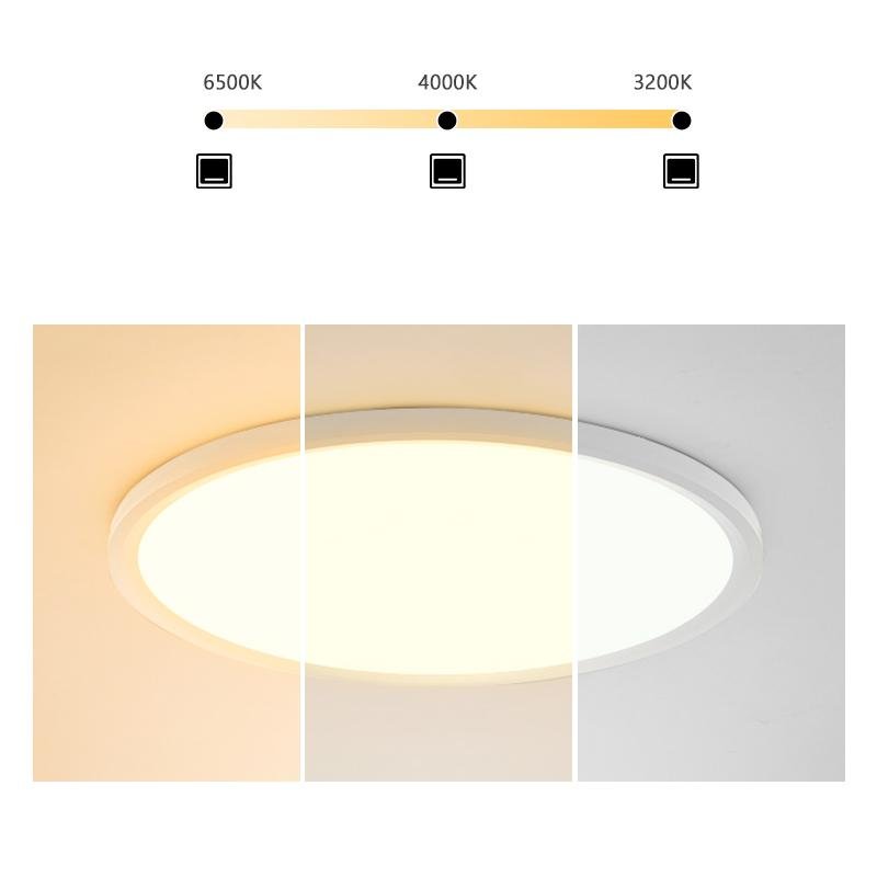 Modern Black Circle LED Flush Mount Ceiling Light with Dimming