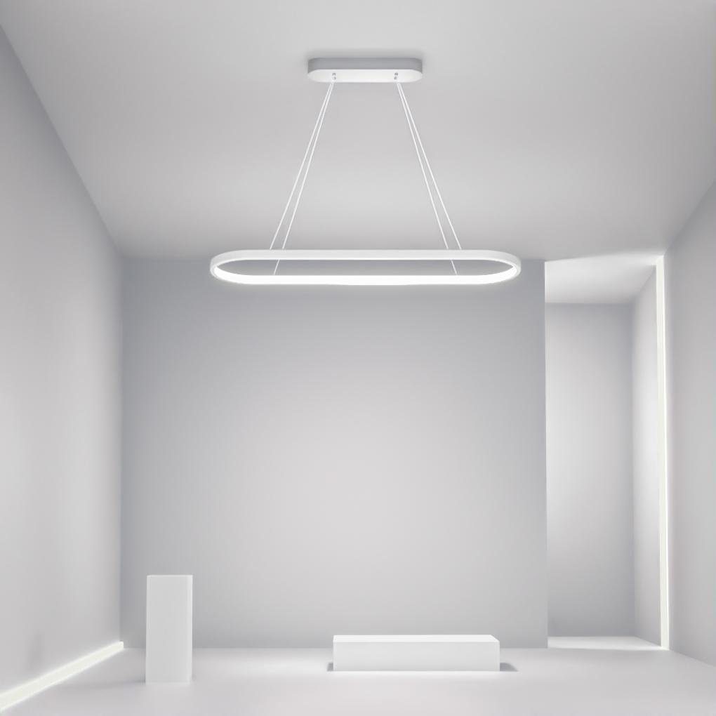 Modern Oval LED Pendant Light with Remote Control