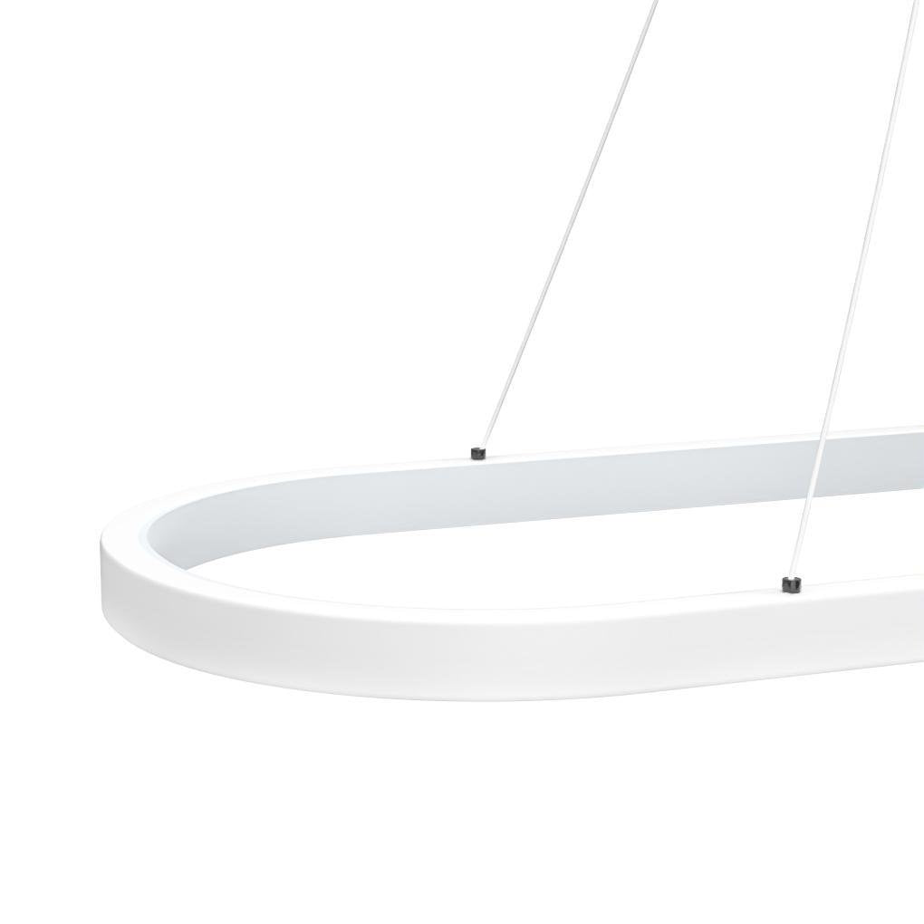 Modern Oval LED Pendant Light with Remote Control