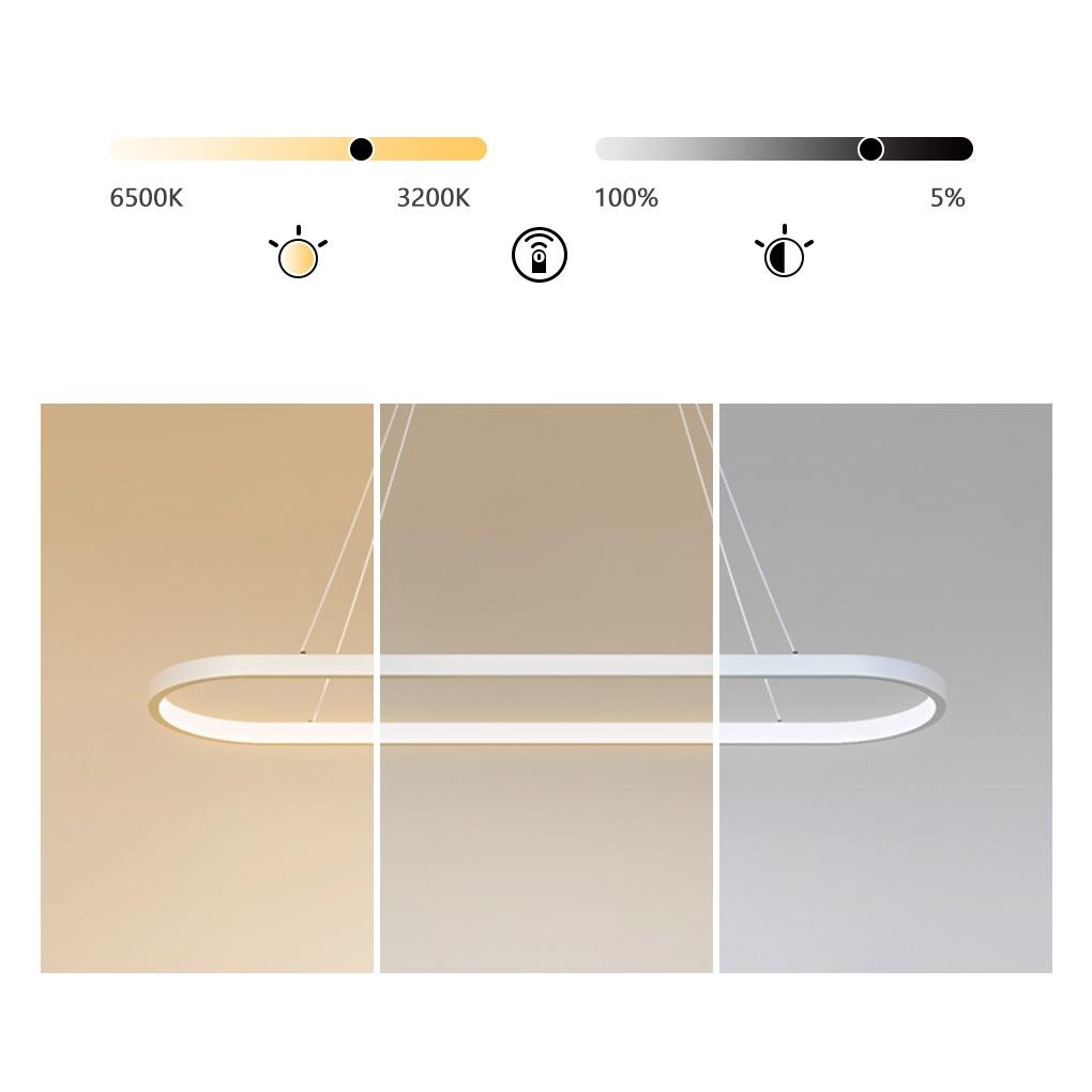 Modern Oval LED Pendant Light with Remote Control