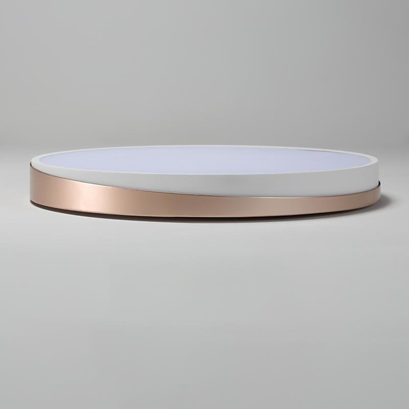 Modern Circle Flush Mount LED Ceiling Light - Metal & PMMA