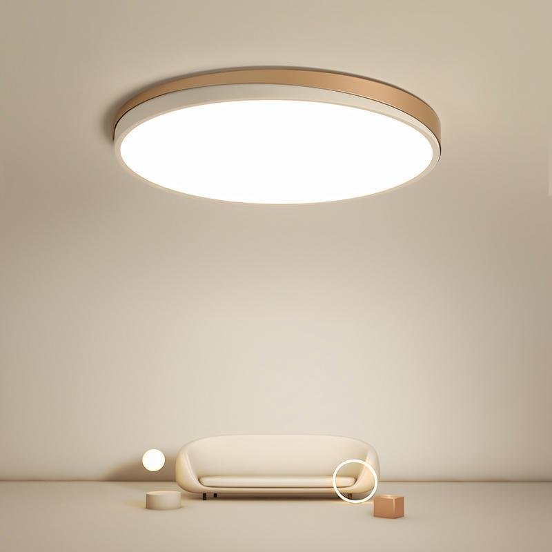 Modern Circle Flush Mount LED Ceiling Light - Metal & PMMA