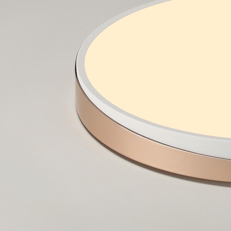 Modern Circle Flush Mount LED Ceiling Light - Metal & PMMA