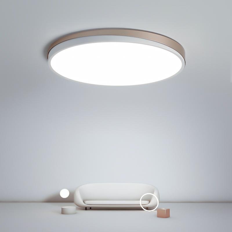 Modern Circle Flush Mount LED Ceiling Light - Metal & PMMA