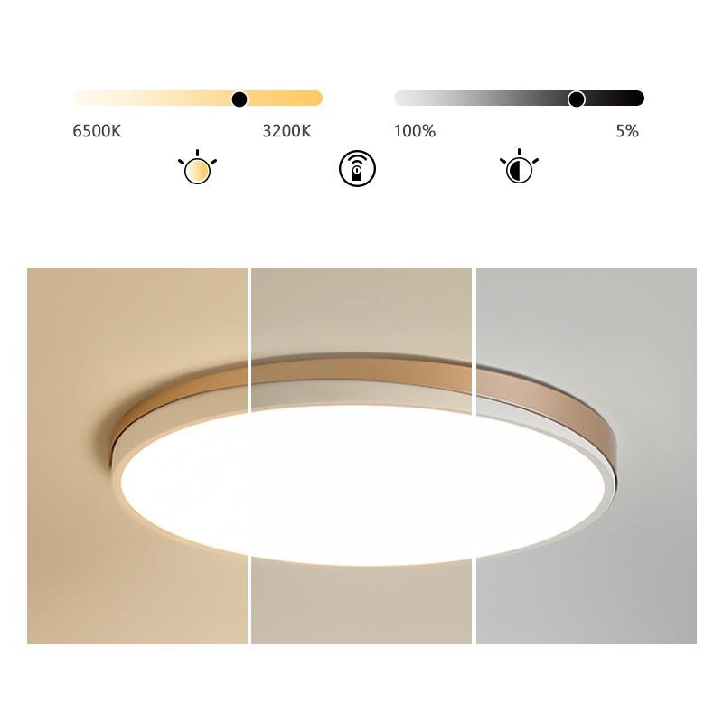 Modern Circle Flush Mount LED Ceiling Light - Metal & PMMA