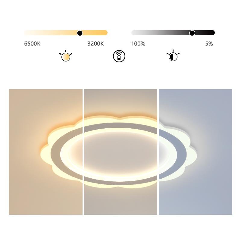 Modern Round Flush Mount LED Ceiling Light - Iron & PMMA